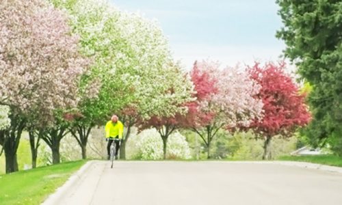 サイクリングのシーズン到来！春は自転車で出かけよう